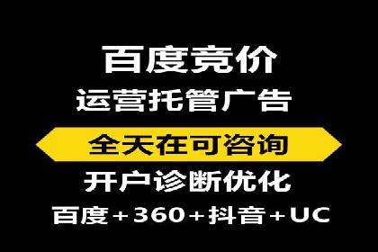 竞价SEM托管服务：成功案例揭秘